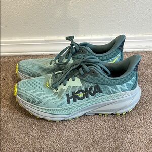 Hoka shoes